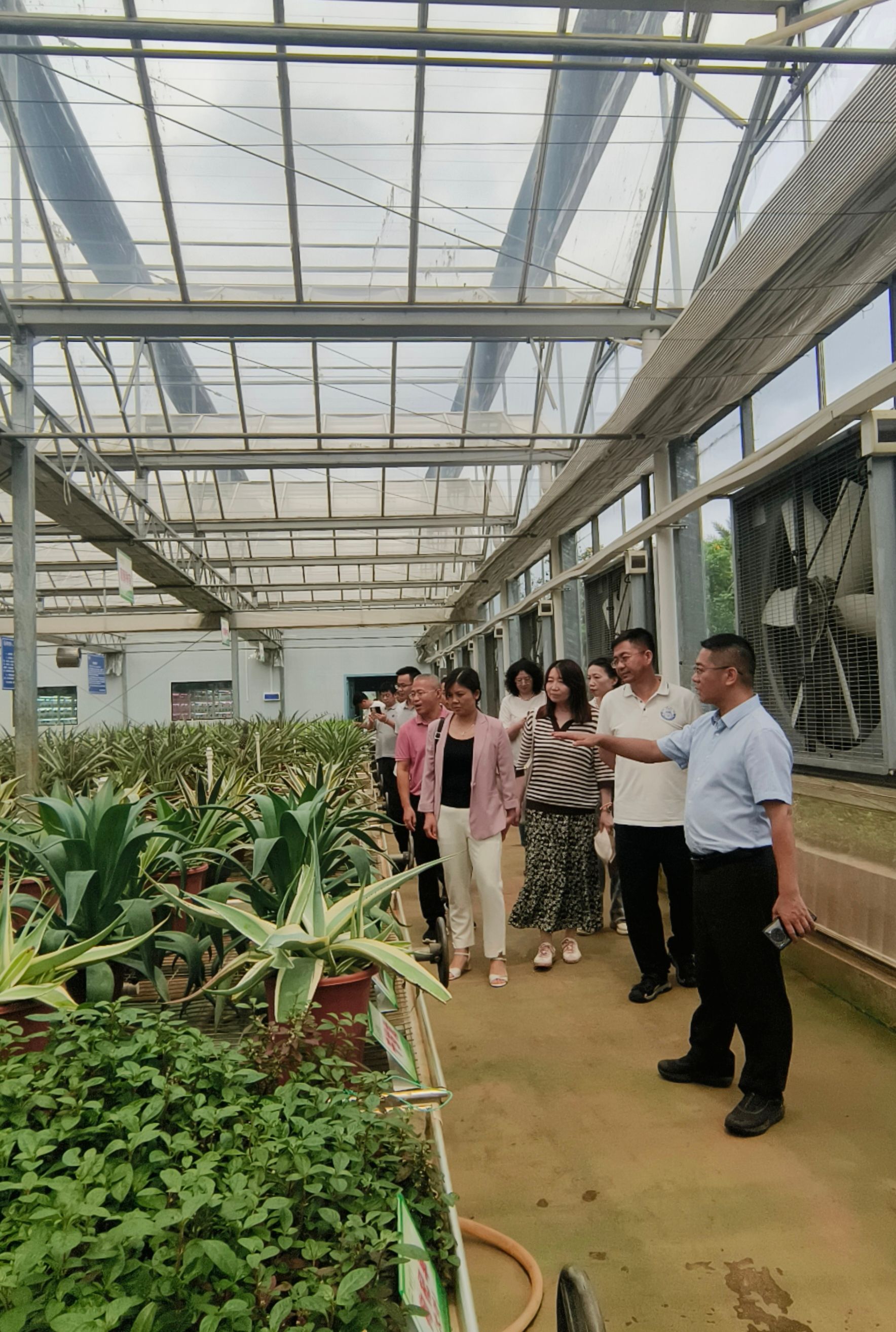 探訪湛江農墾科研一線，共繪產學研融合發展新藍圖
